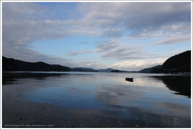 DSC00263-2RS.jpg