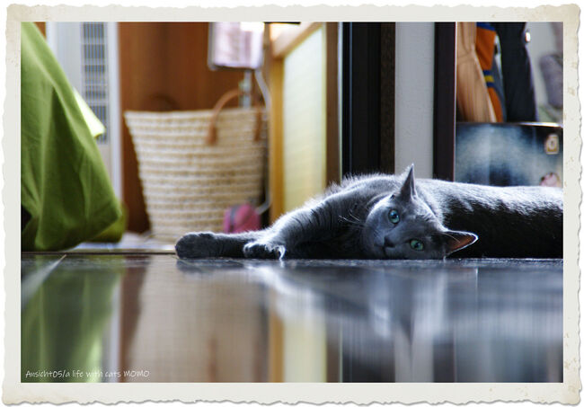 DSC01447b.JPG