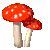 きのこj0283457.gif