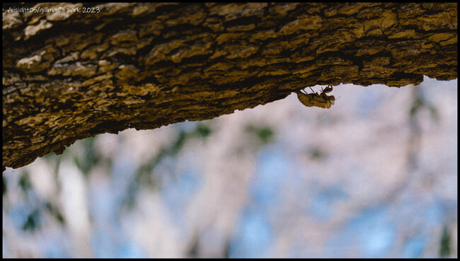 RXM03237d.jpg