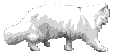 animated-cat-image-0184.gif