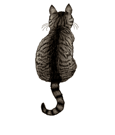 cat_large-1.gif