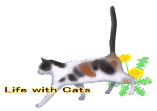 catlife_tampopo.gif