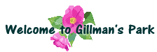 gillmanspark_cameria.gif