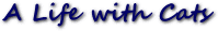 image.gif