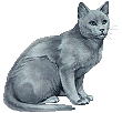 russianblu.gif