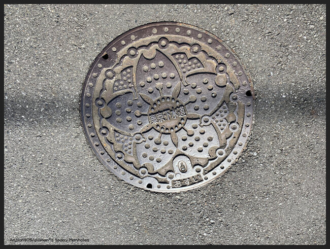 東京都IMG_7682.JPG